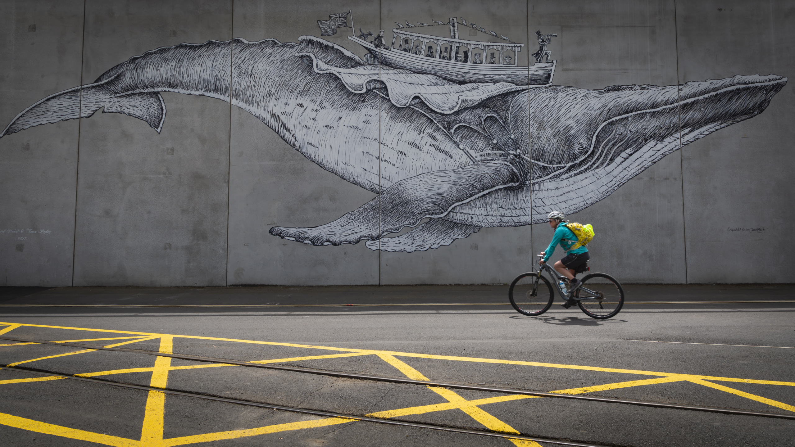 384830-activities_cyclingurban_002_dunedinnz