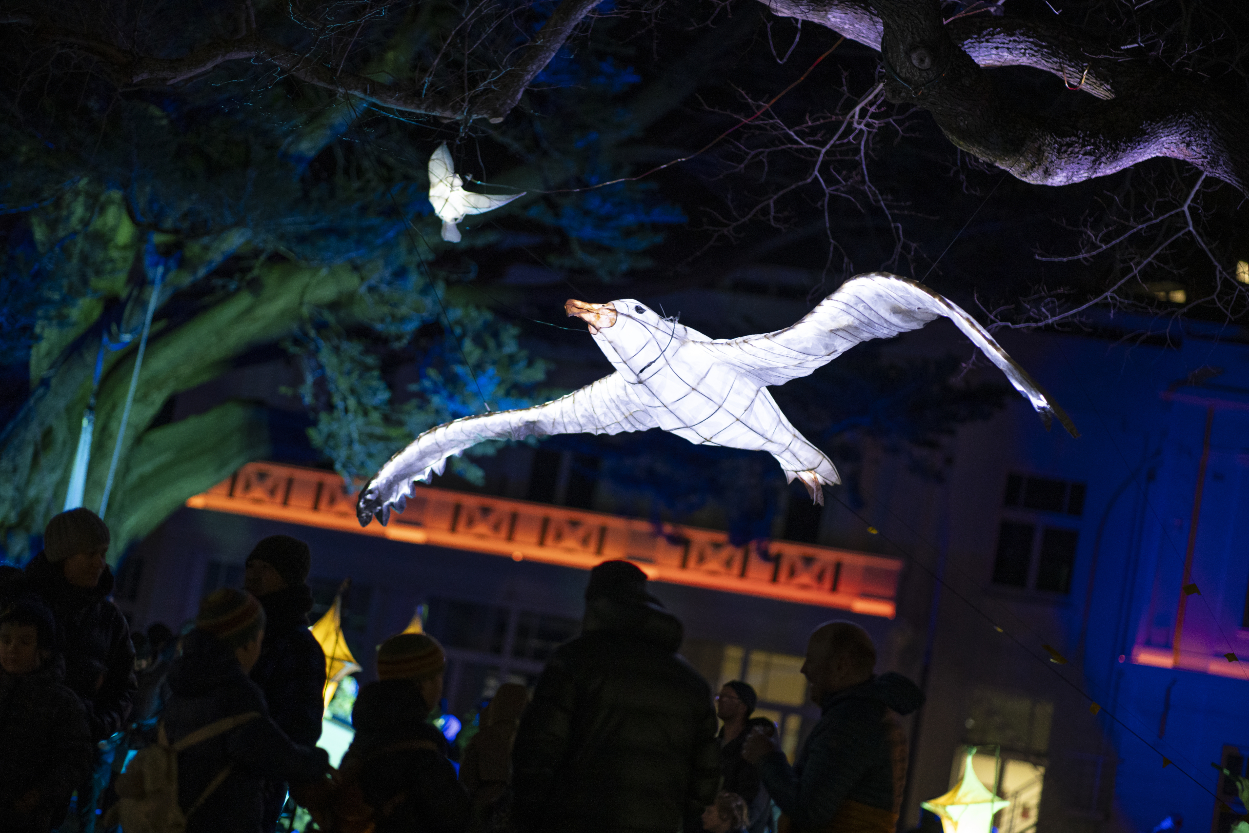 603108-event_dunedinmidwintercarnival2024_013_dunedinnz