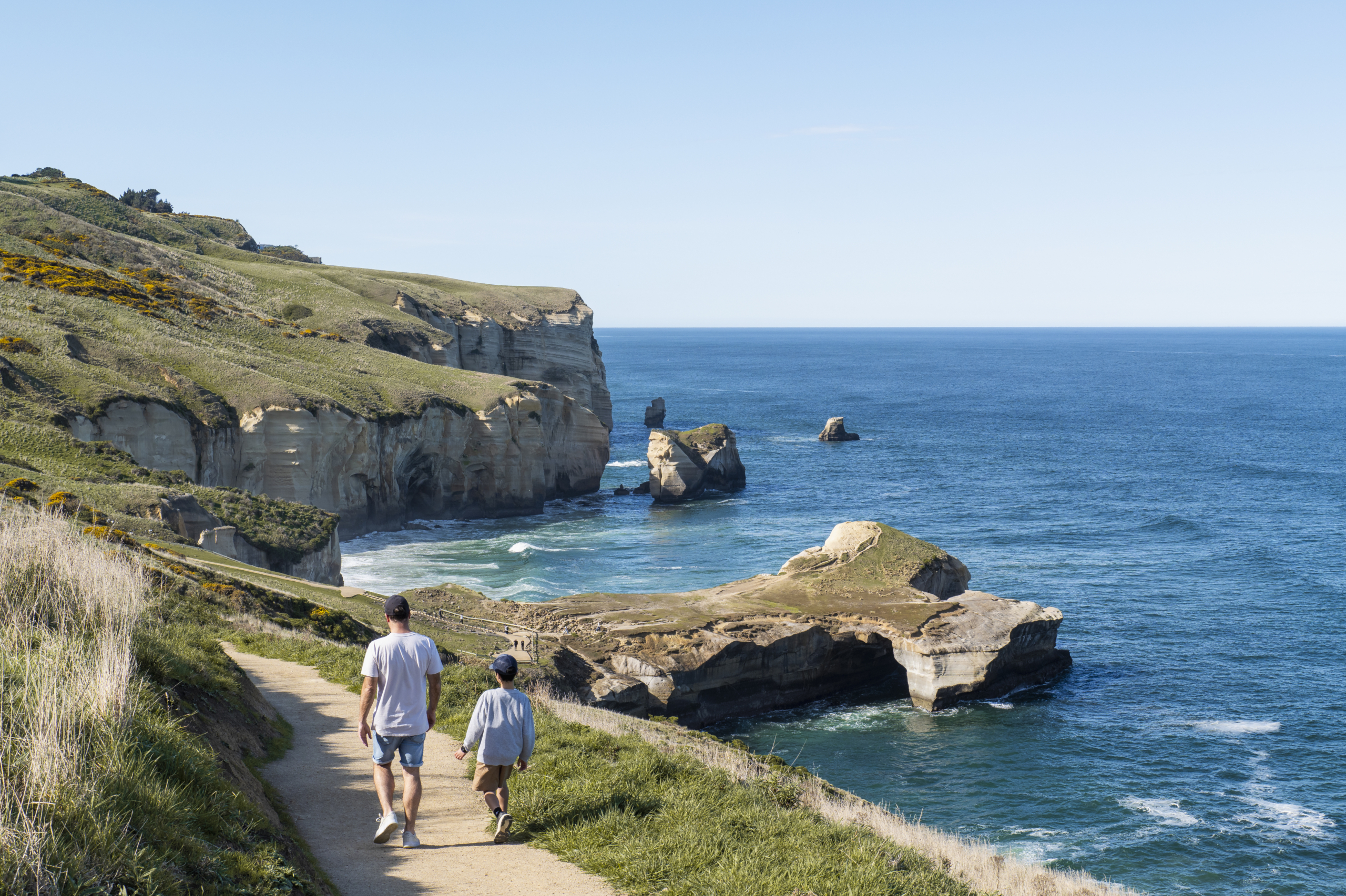 664032-scenic_tunnelbeach2024_010_dunedinnz