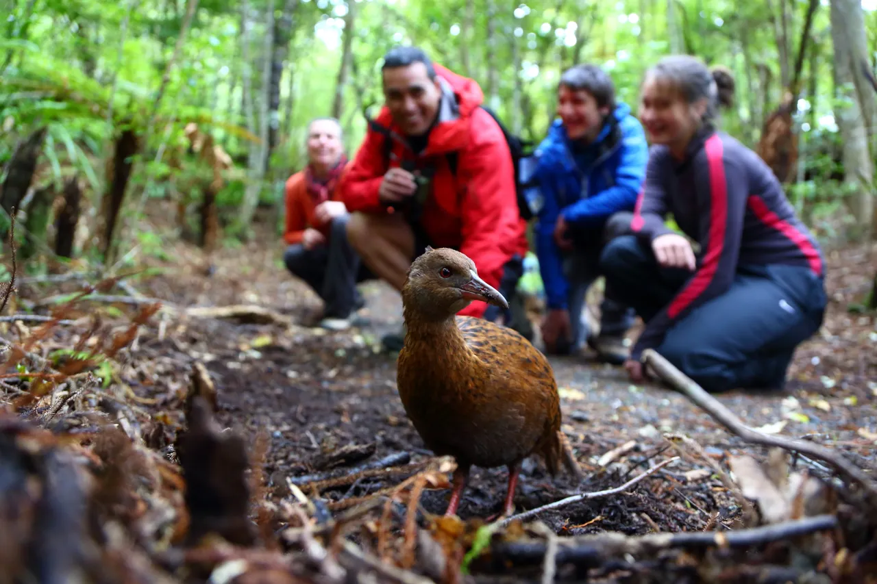 447319-ulva-island-southland-new-zealand-credit-department-of-conservation-9-web-optimised-1280px-webp