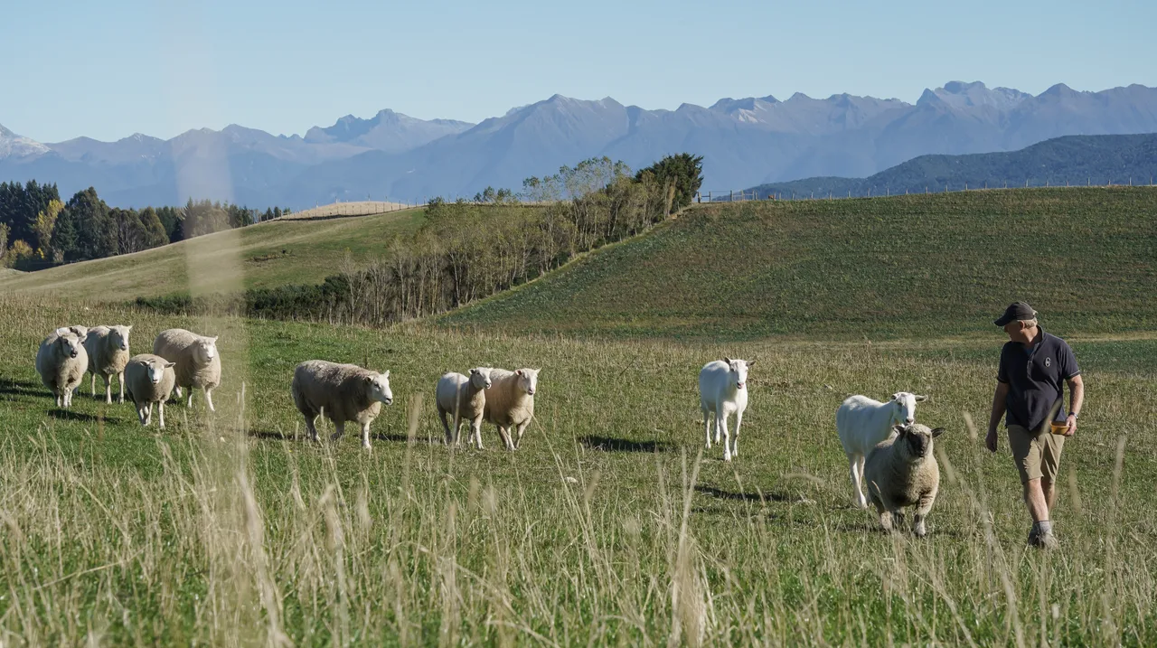 453166-dusky-ridges-southland-new-zealand-credit-great-south-17-web-optimised-1280px-webp