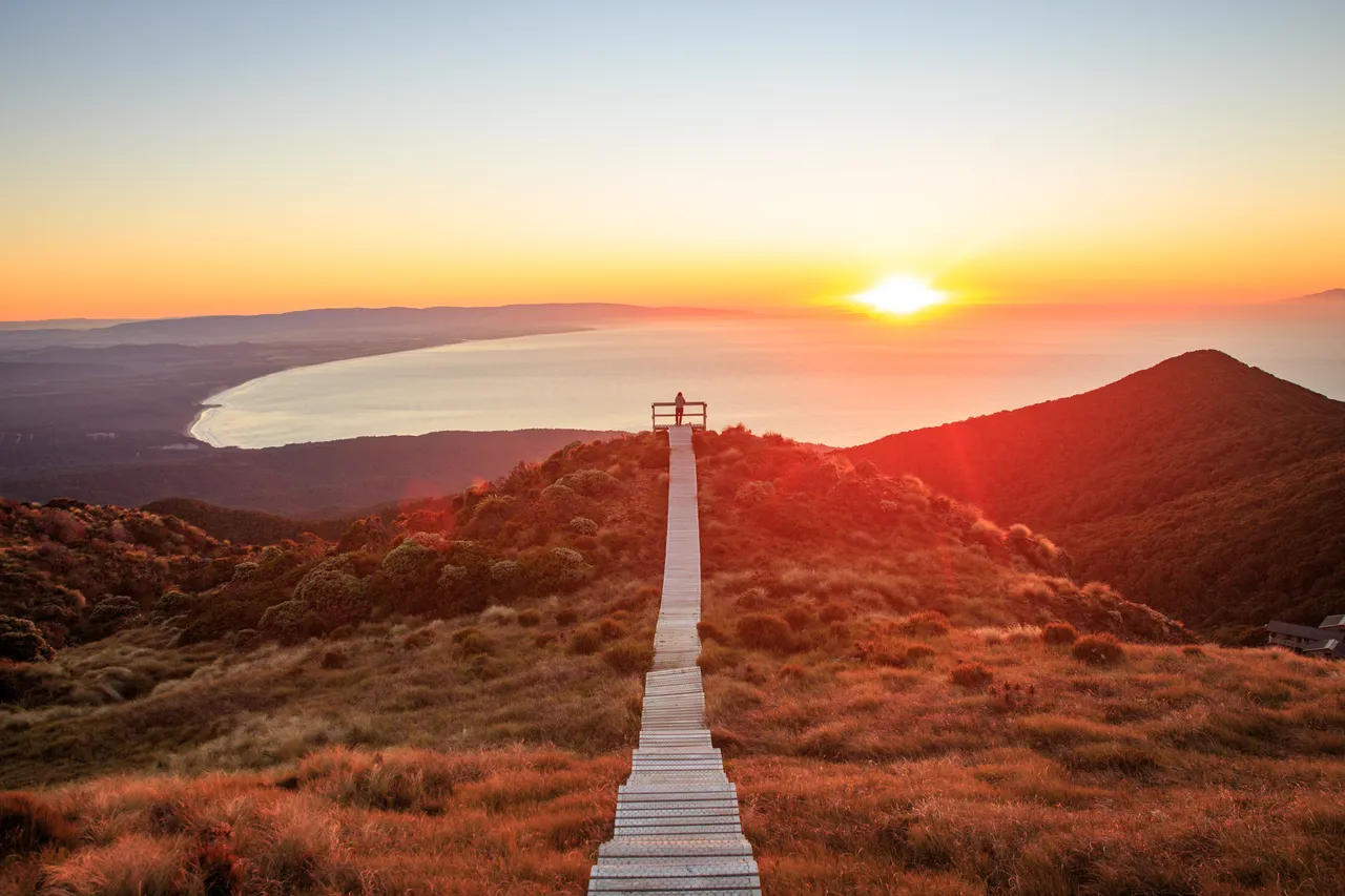 456762-hump-ridge-track-southland-new-zealand-credit-liz-carlson-142-web-optimised-1280px-webp