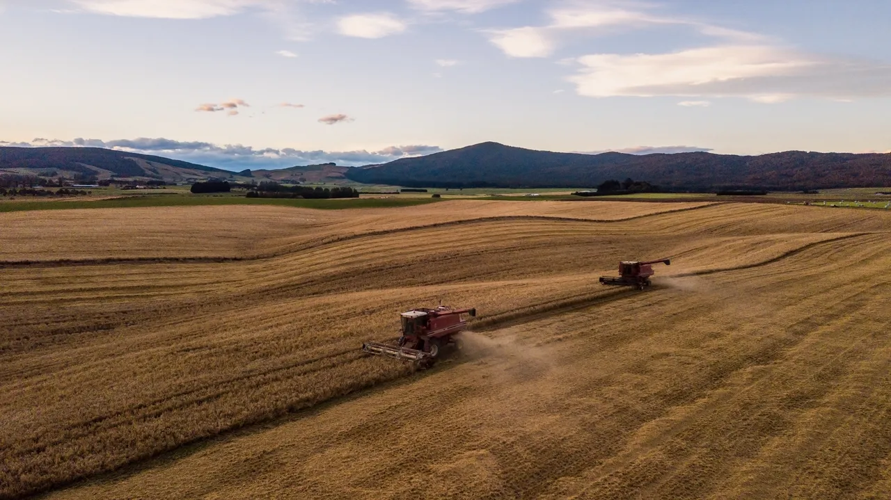 825693-auld-farm-distillery-southland-new-zealand-credit-auld-farm-distillery-7-web-optimised-1280px-webp