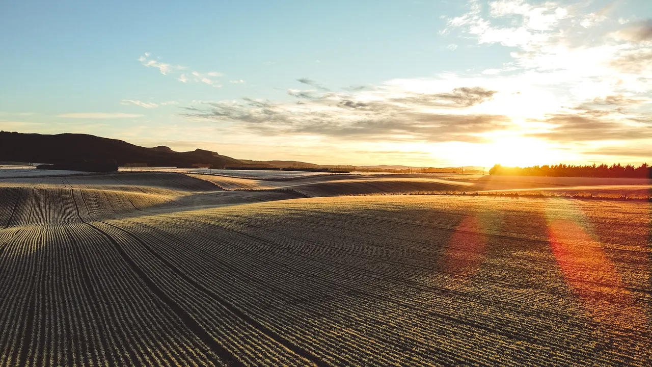 825733-auld-farm-distillery-southland-new-zealand-credit-auld-farm-distillery-18-web-optimised-1280px-webp